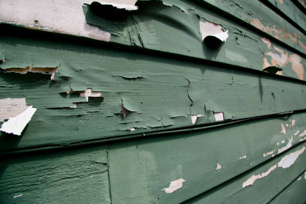 Best Property Management Cleanouts  in Lexington, KY