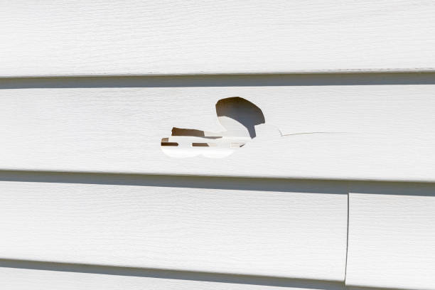 Best Demolition Debris Removal  in Lexington, KY