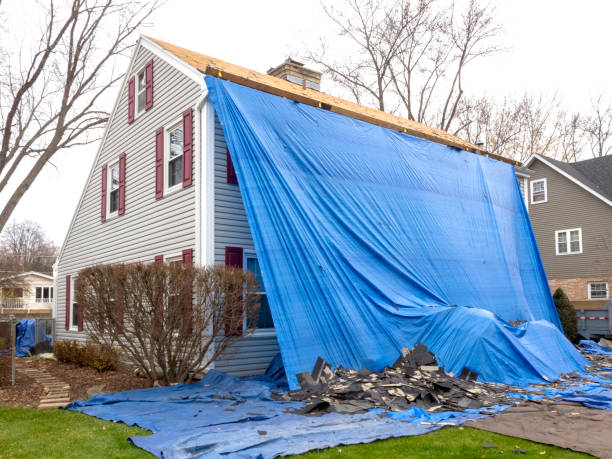 Best Dumpster Rental Services  in Lexington, KY